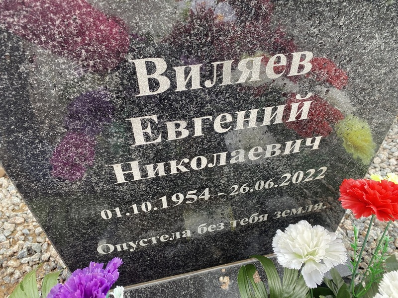 Виляев