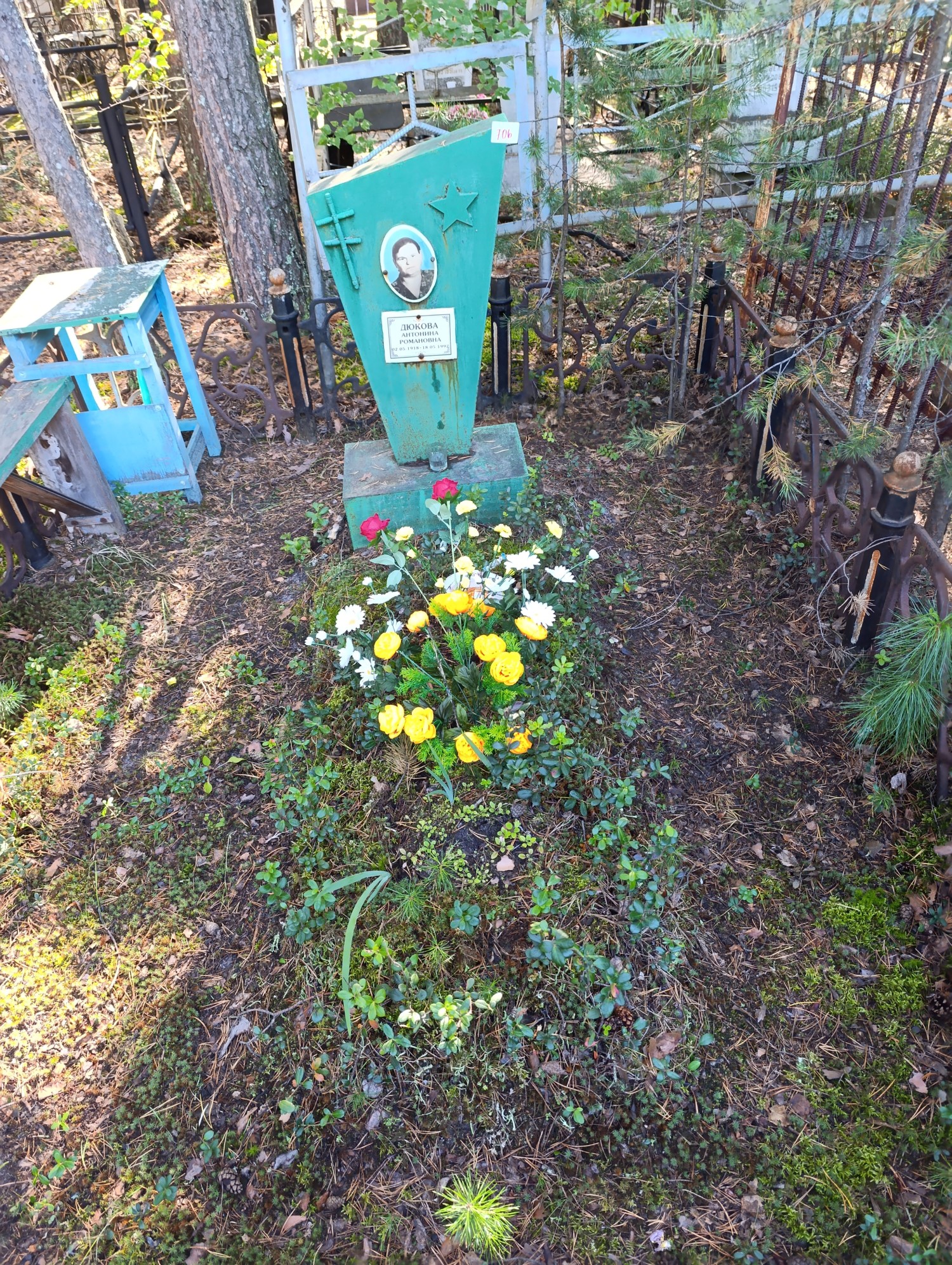 Дюкова Антонина Романовна