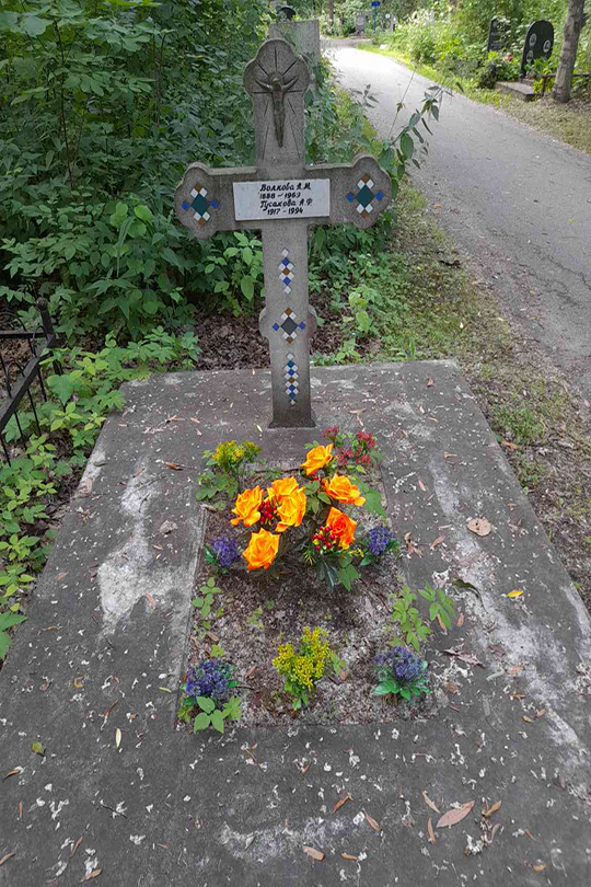 Волкова А. М.