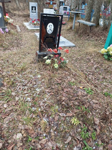 Мамаев Александр Николаевич