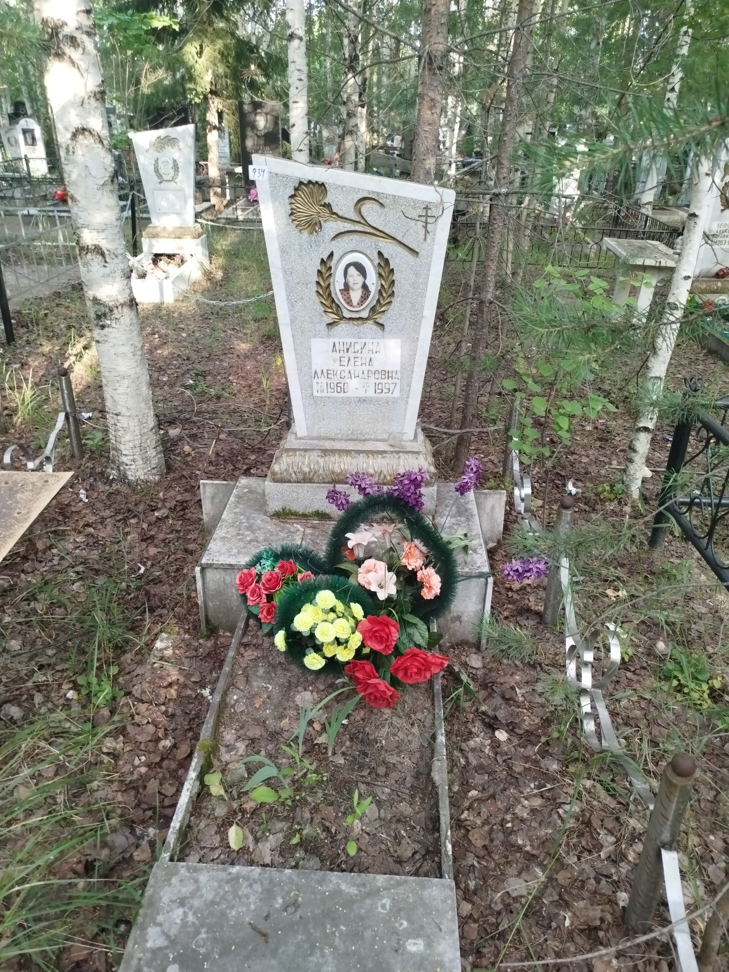 Анисина Елена Александровна