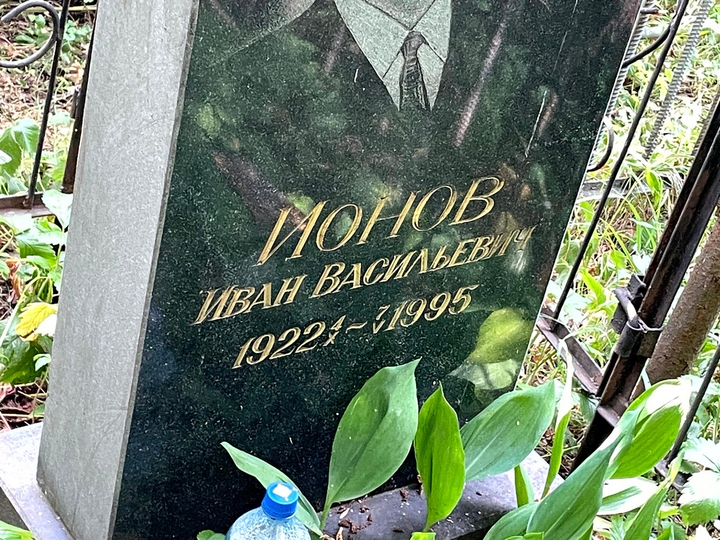 Ионов
