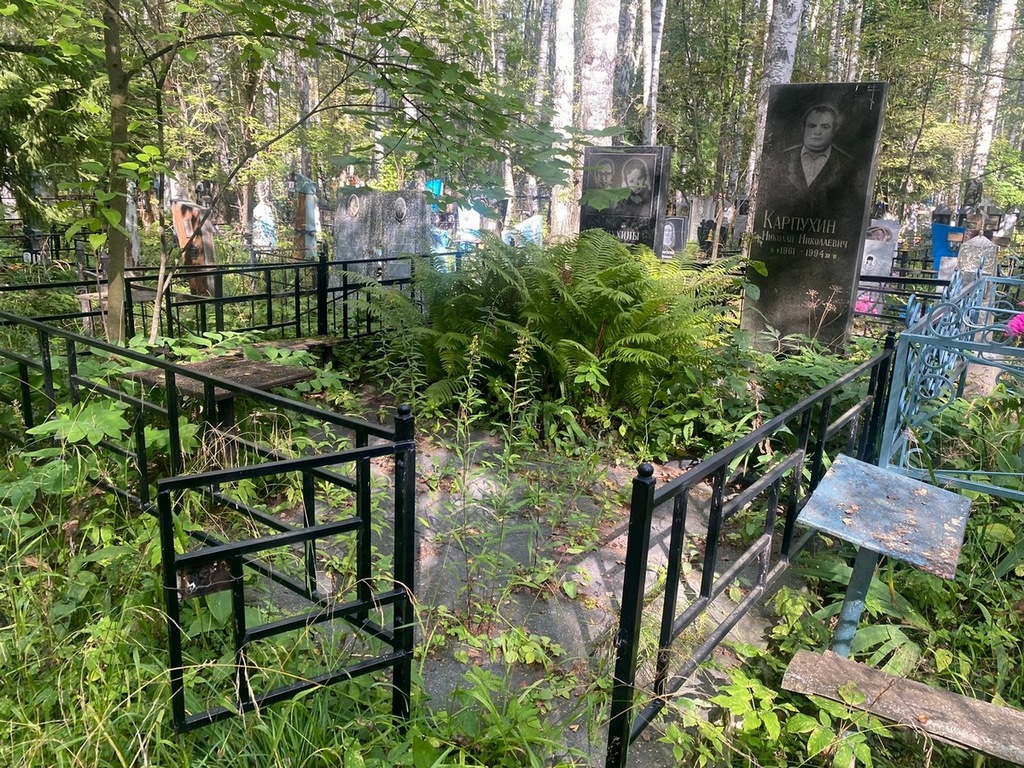 Карпухин Николай Николаевич