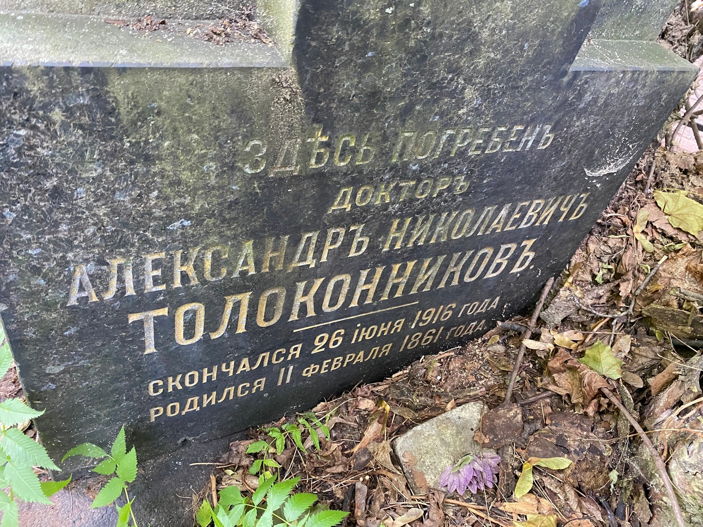Толоконников