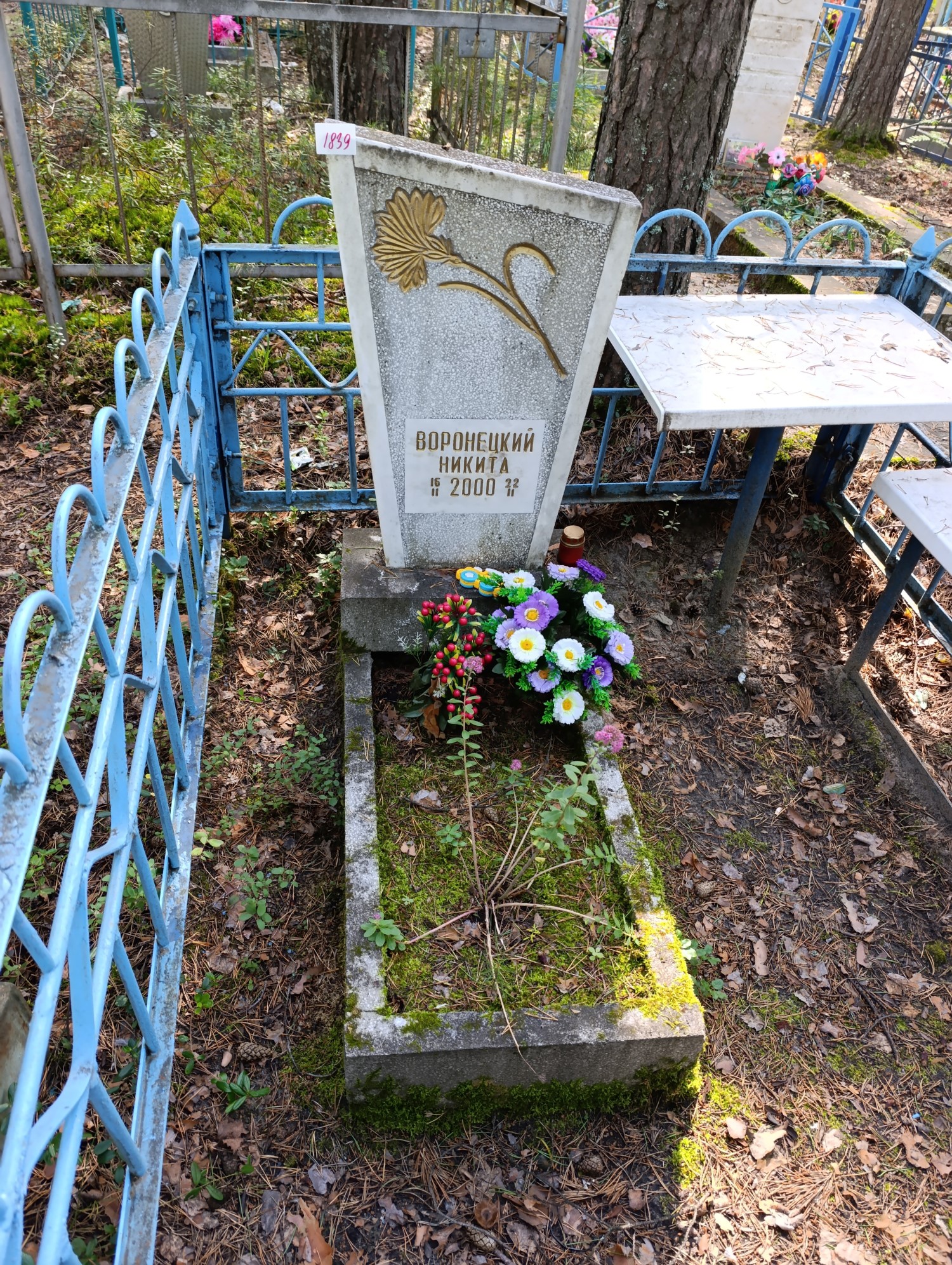 Воронецкий Никита
