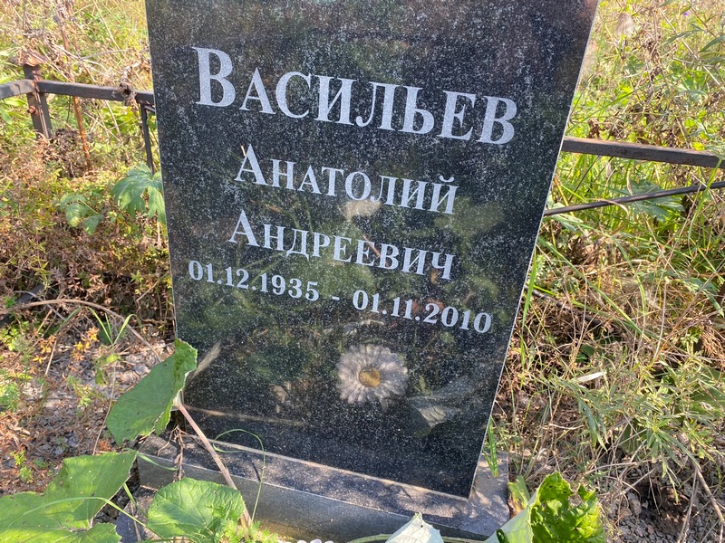 Васильев
