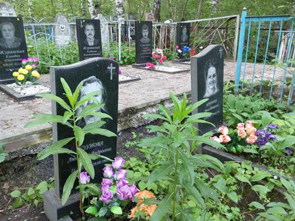 Узунова Людмила Андреевна