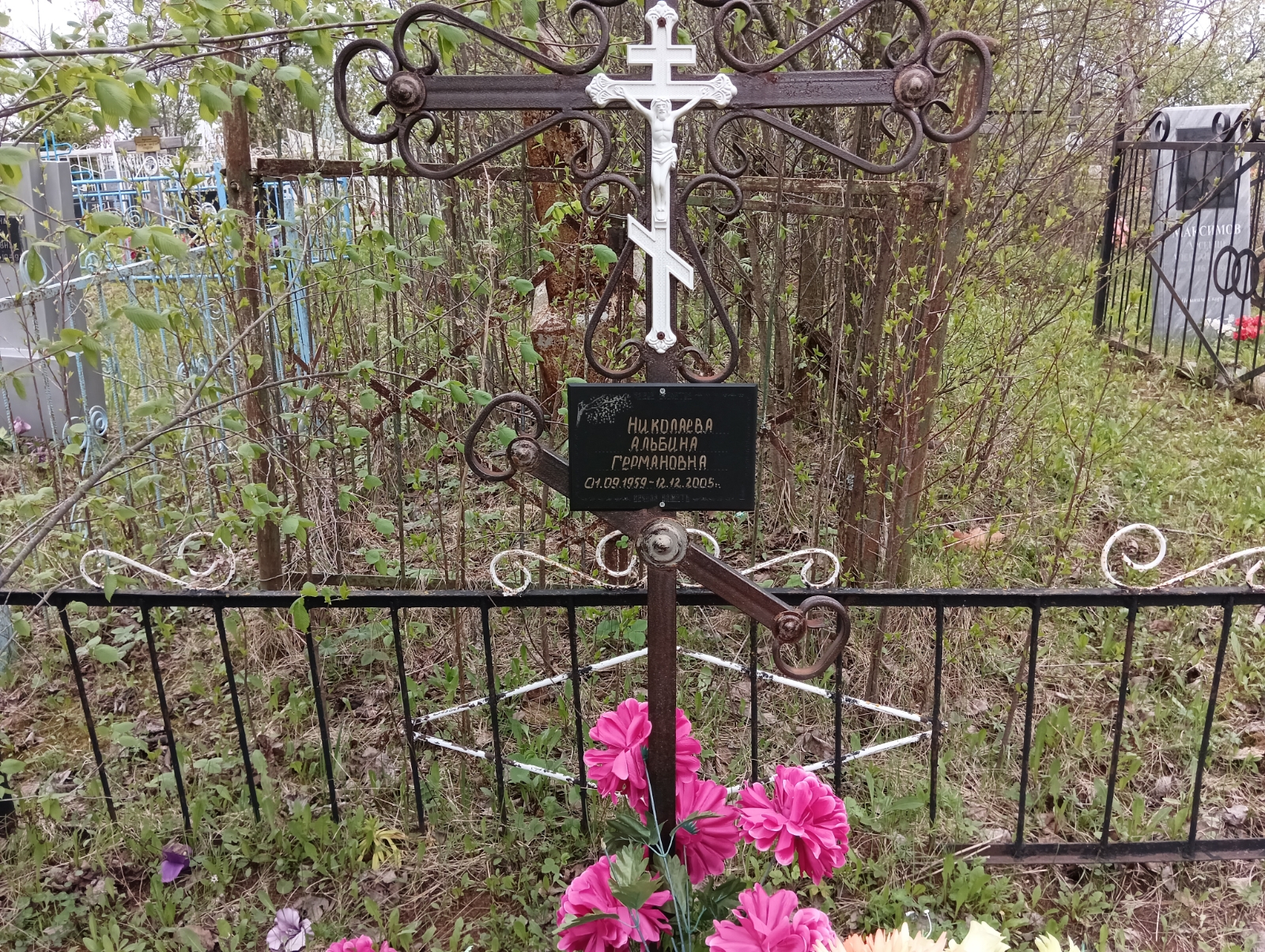 Николаева Альбина Германовна