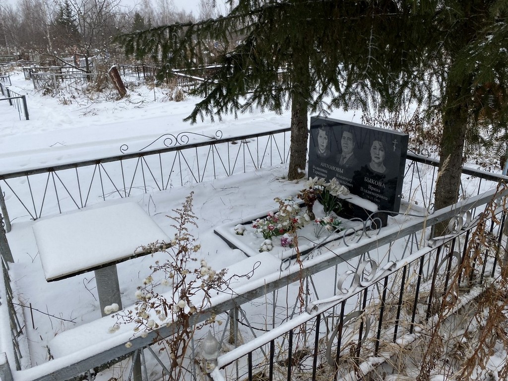 Быкова Ирина Владимировна