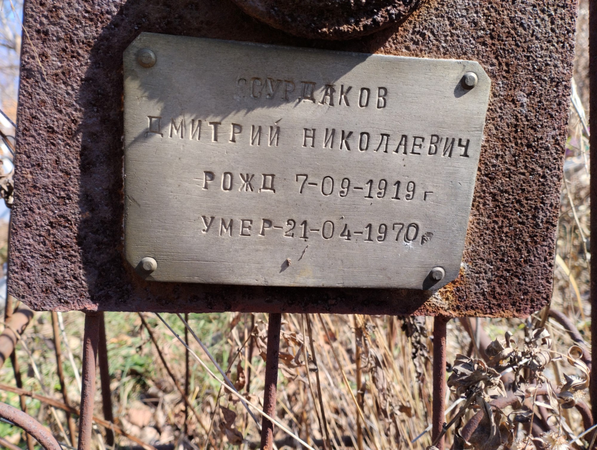 Сурдаков Дмитрий Николаевич