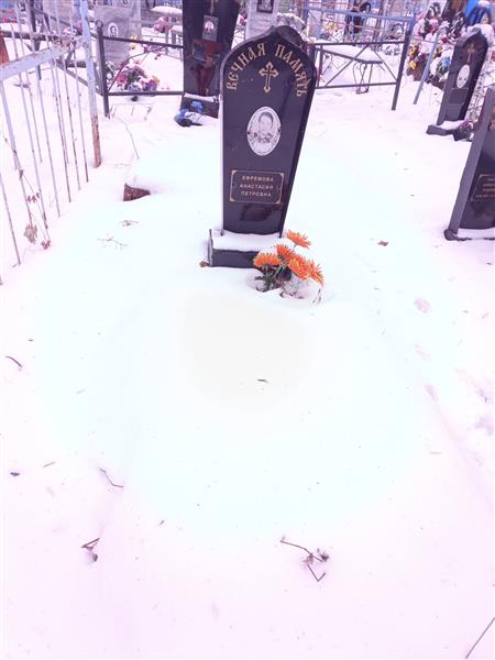 Ефремова Анастасия Петровна