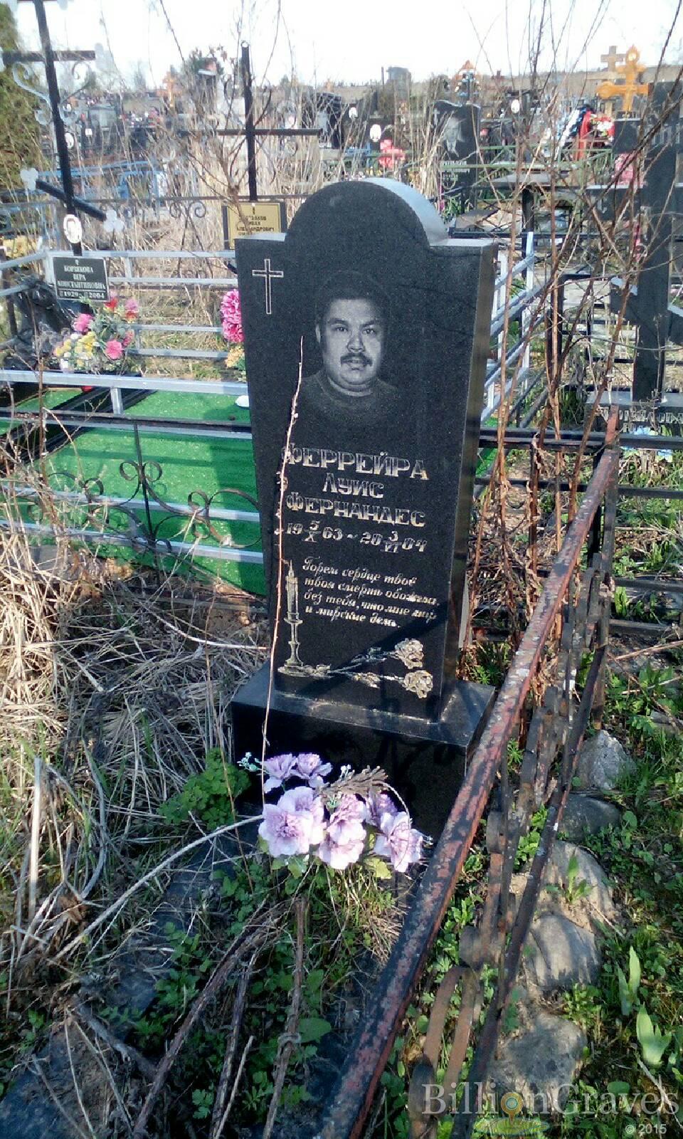 феррейра луис фернандес