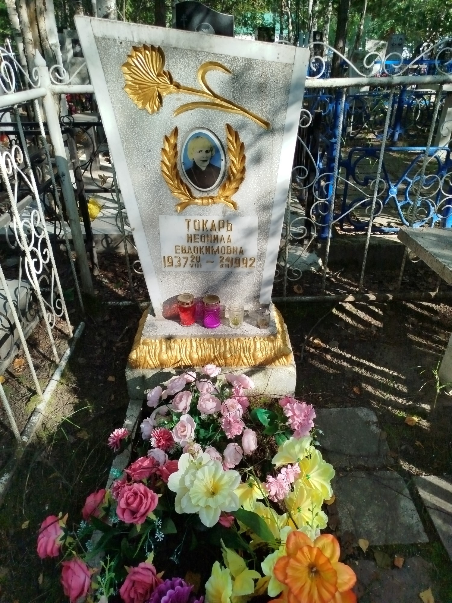 Токарь Неонила Евдокимовна