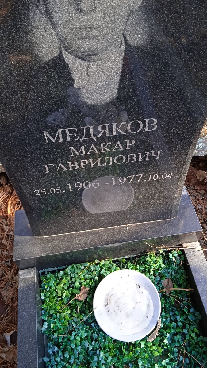 Медняков Макар Гаврилович