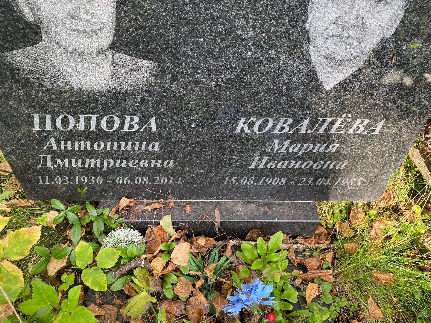 Ковалева