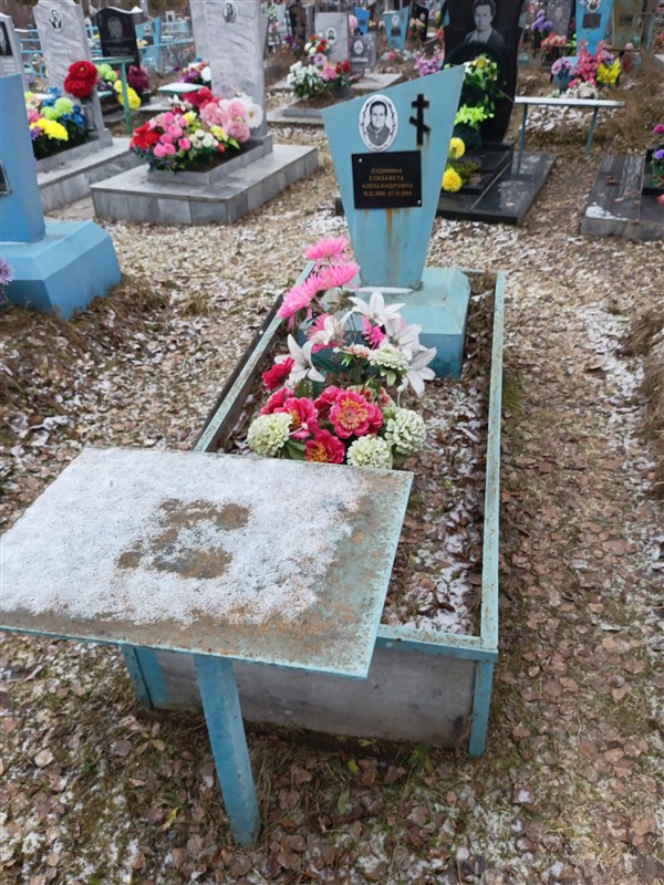 Лудинина Елизавета Александровна