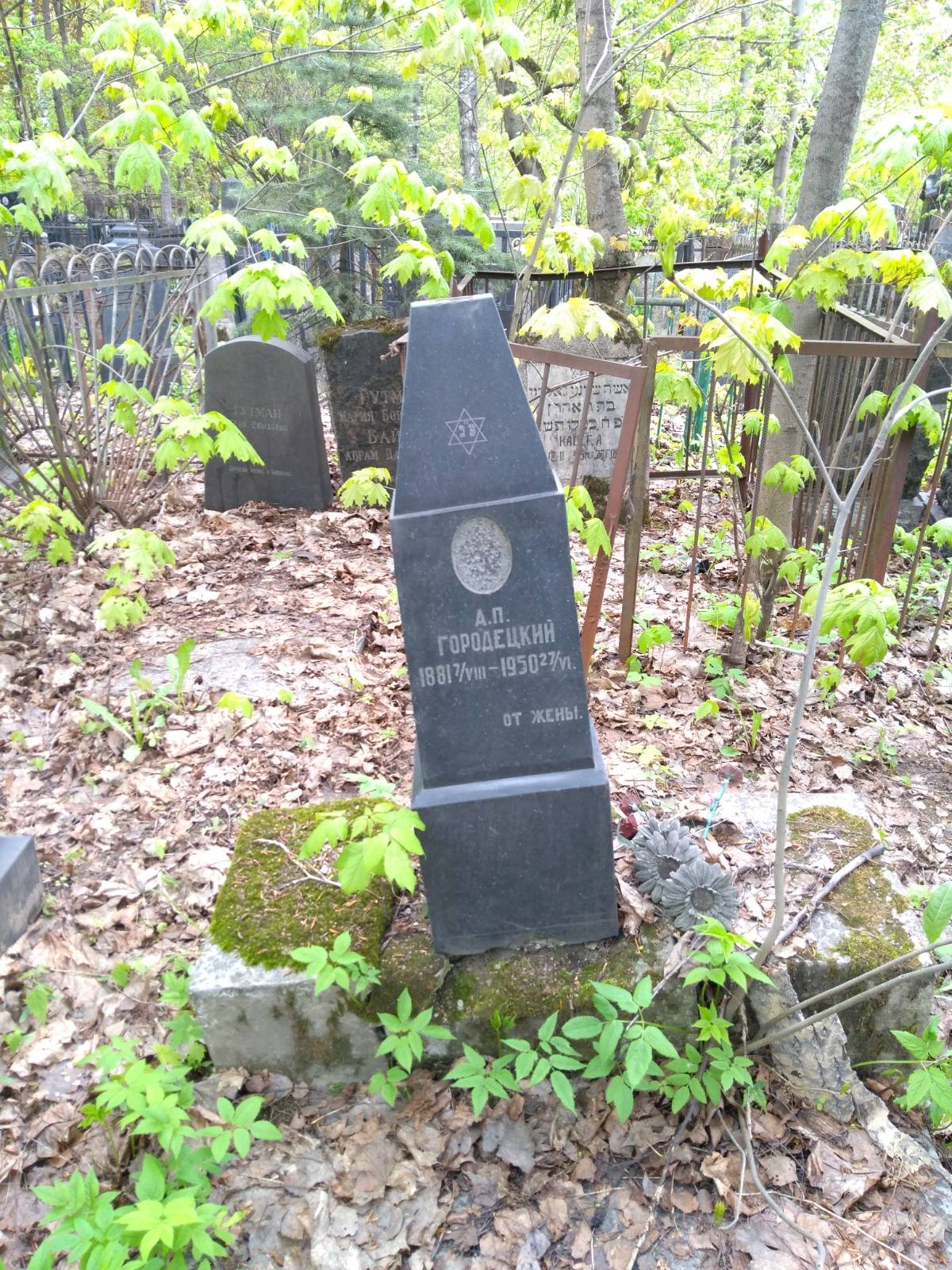 Городецкий А. П.