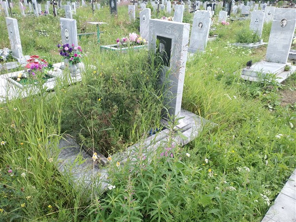 Боровикова Нелли Николаевна