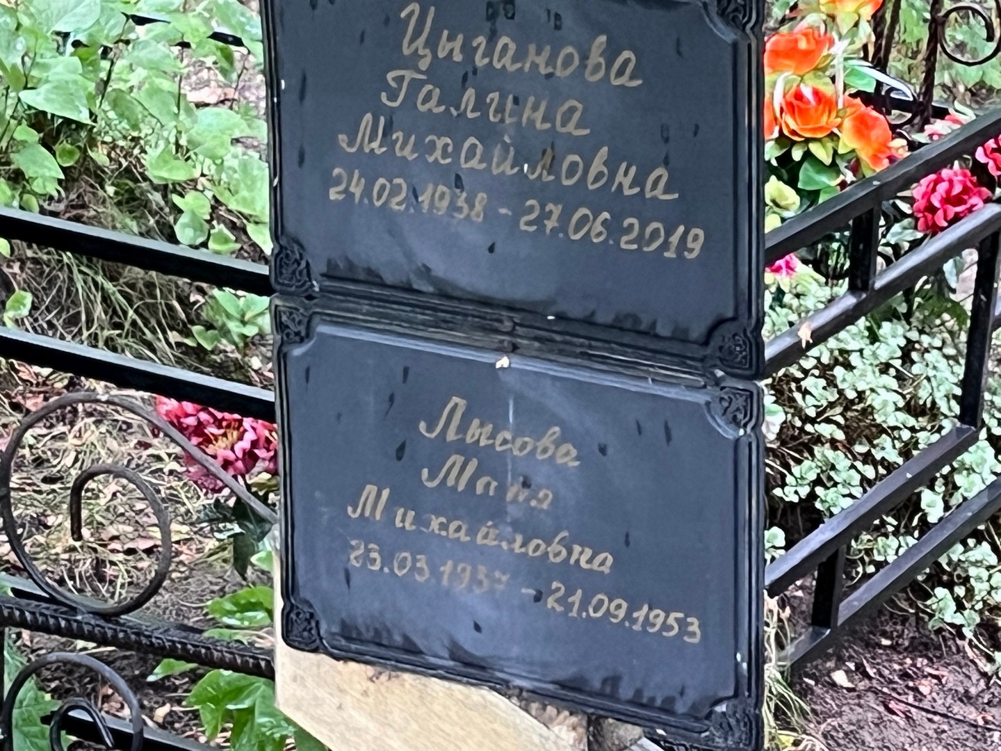 Циганова