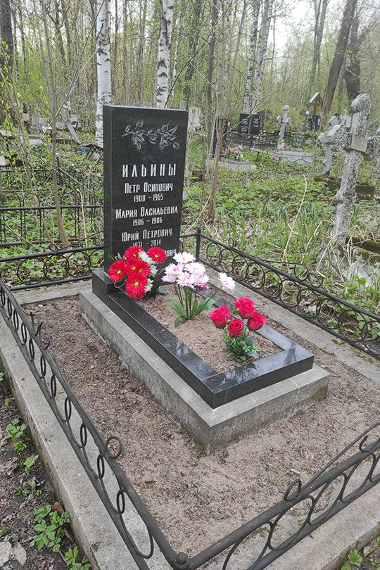Ильин Владимир Петрович