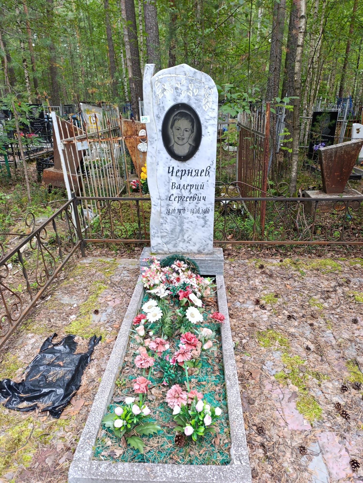 Черняев Валерий Сергеевич