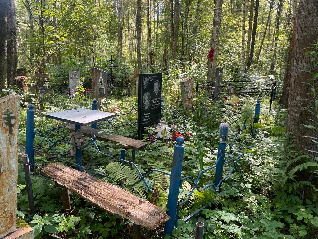 Князева Юлия Ивановна