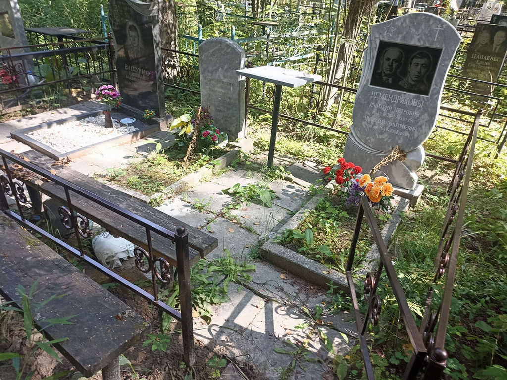 Чемендряков Дмитрий Петрович