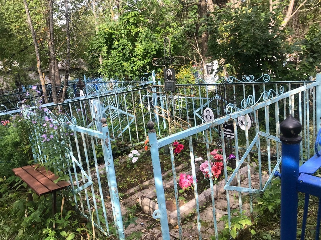 Петренкин Анатолий Евгеньевич