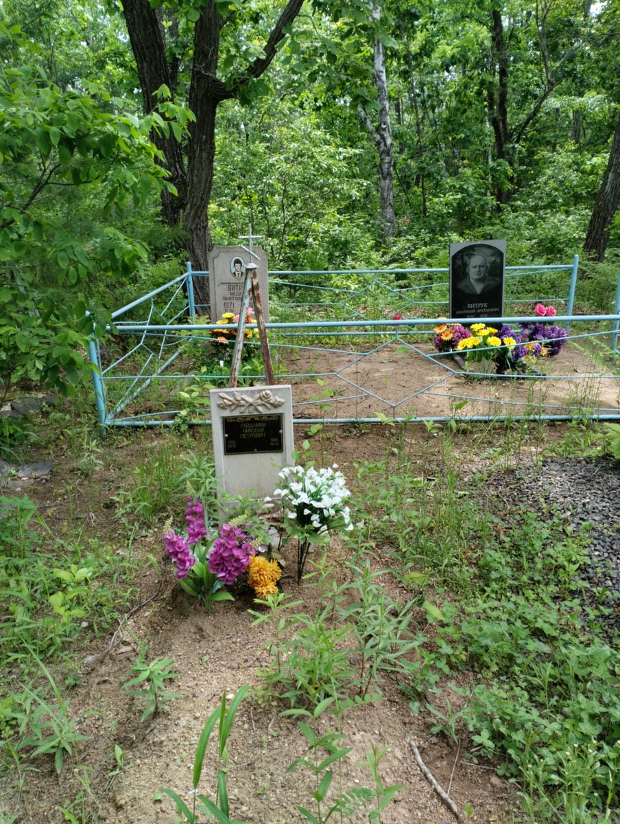 Гайдамак Николай Петрович