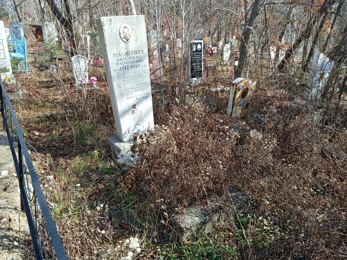 Малютина Анастасия Васильевна