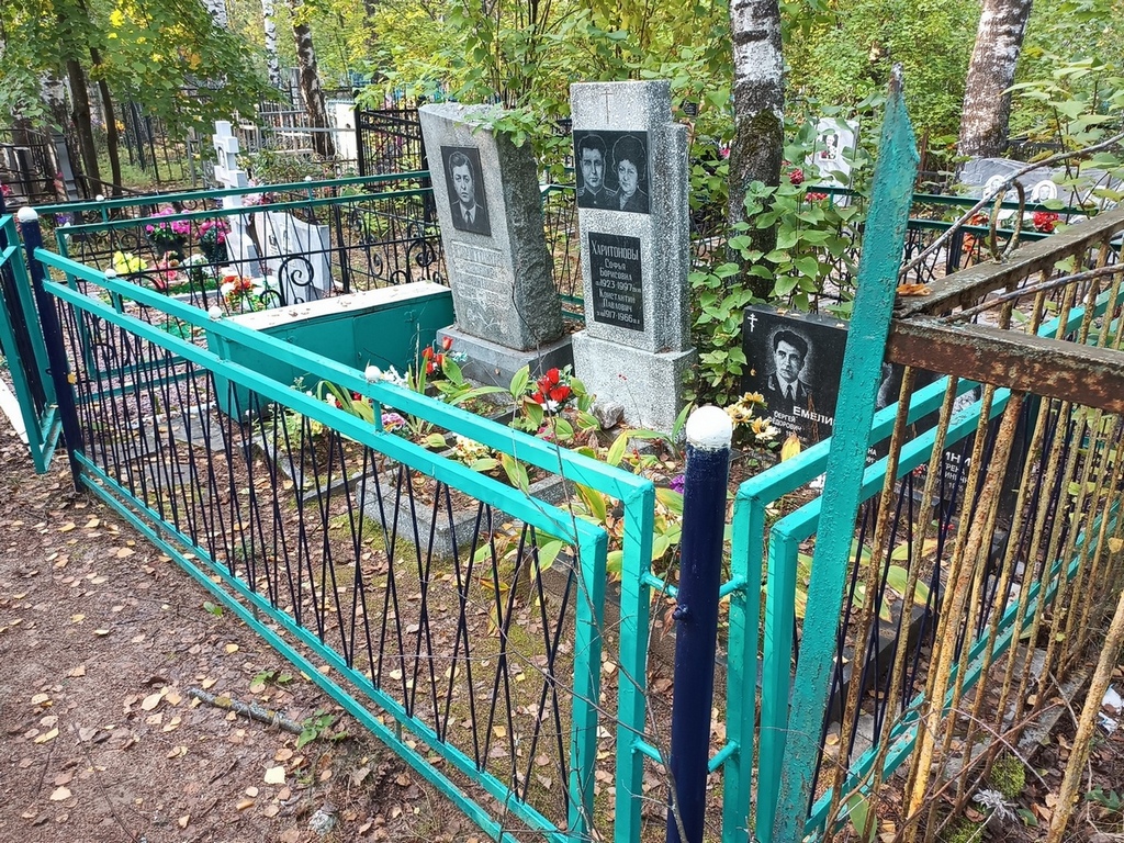Емелин Сергей Федорович