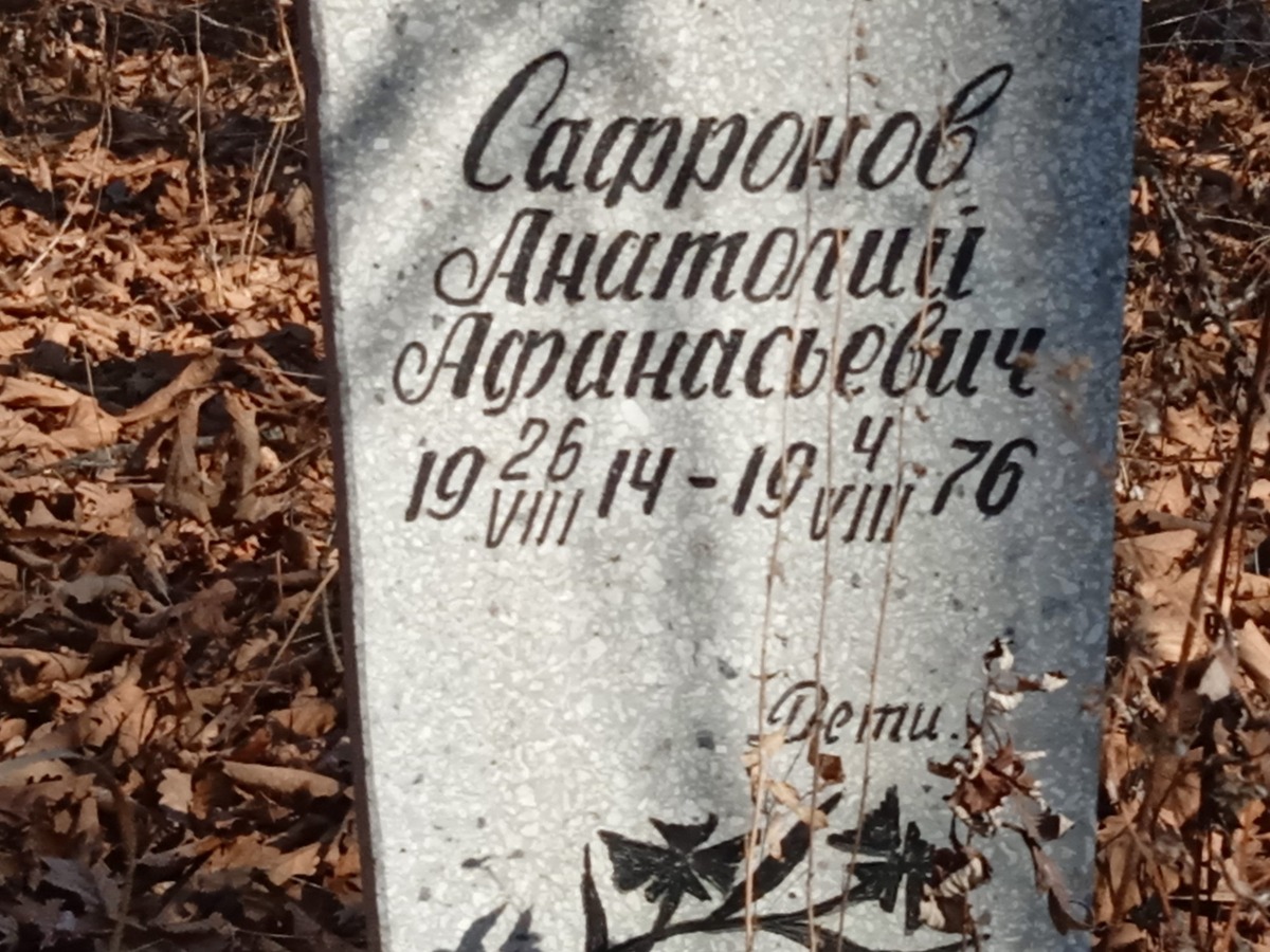 Сафронов Анатолий Афанасьевич