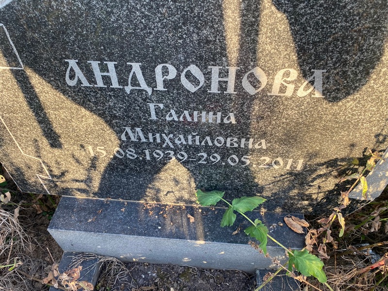Андронова