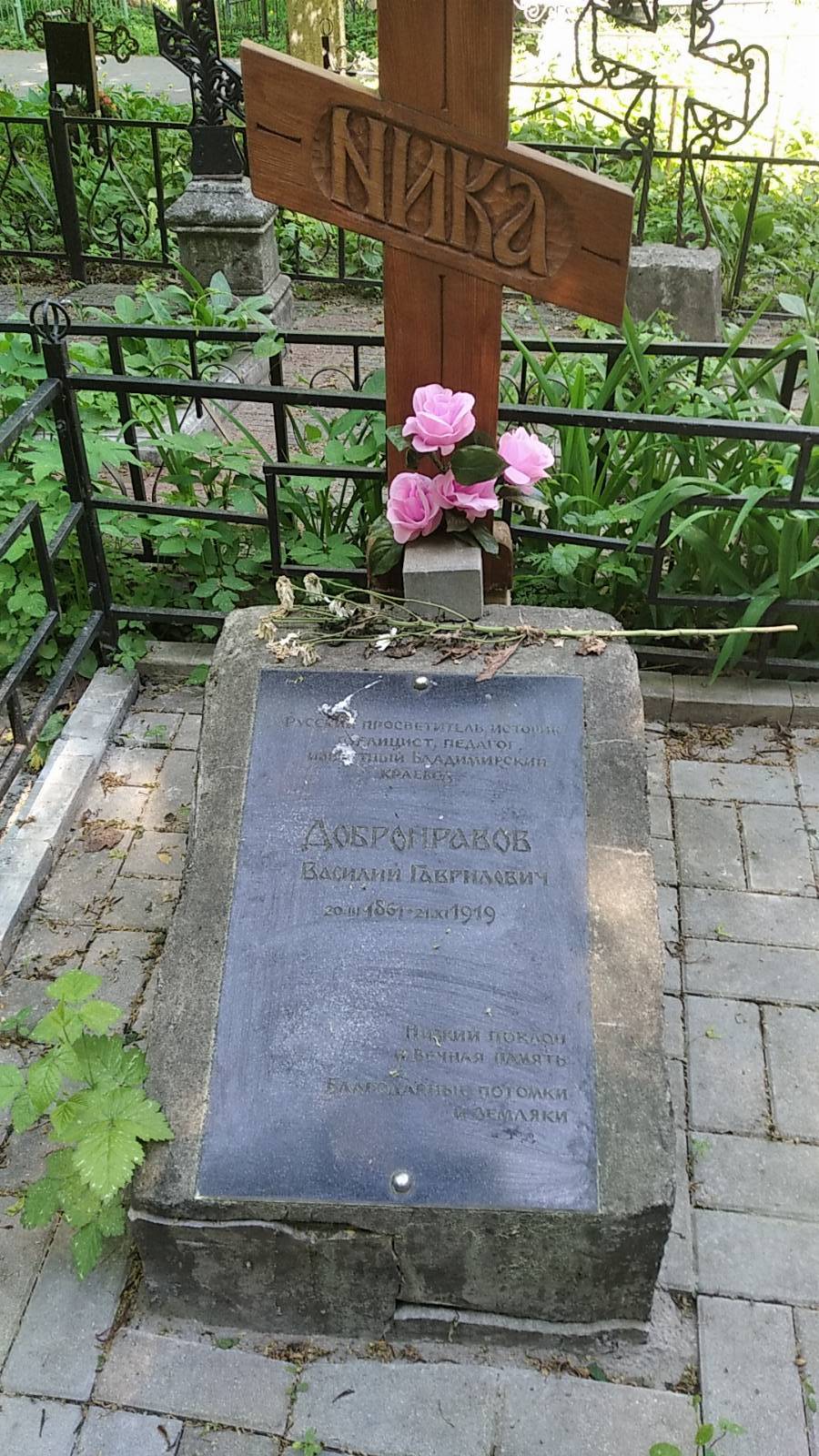 Добронравов Василий Гаврилович