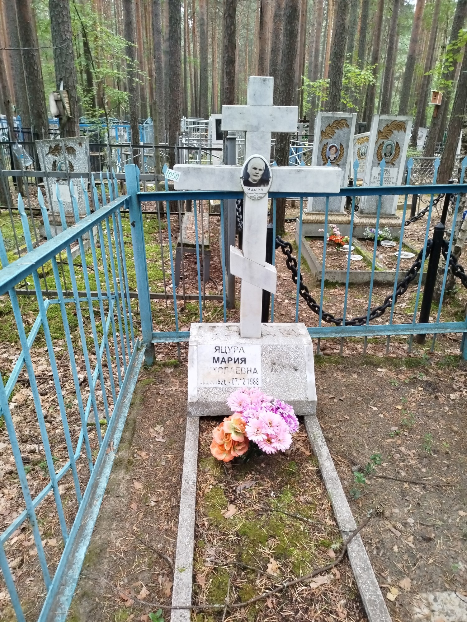 Яцура Мария Николаевна