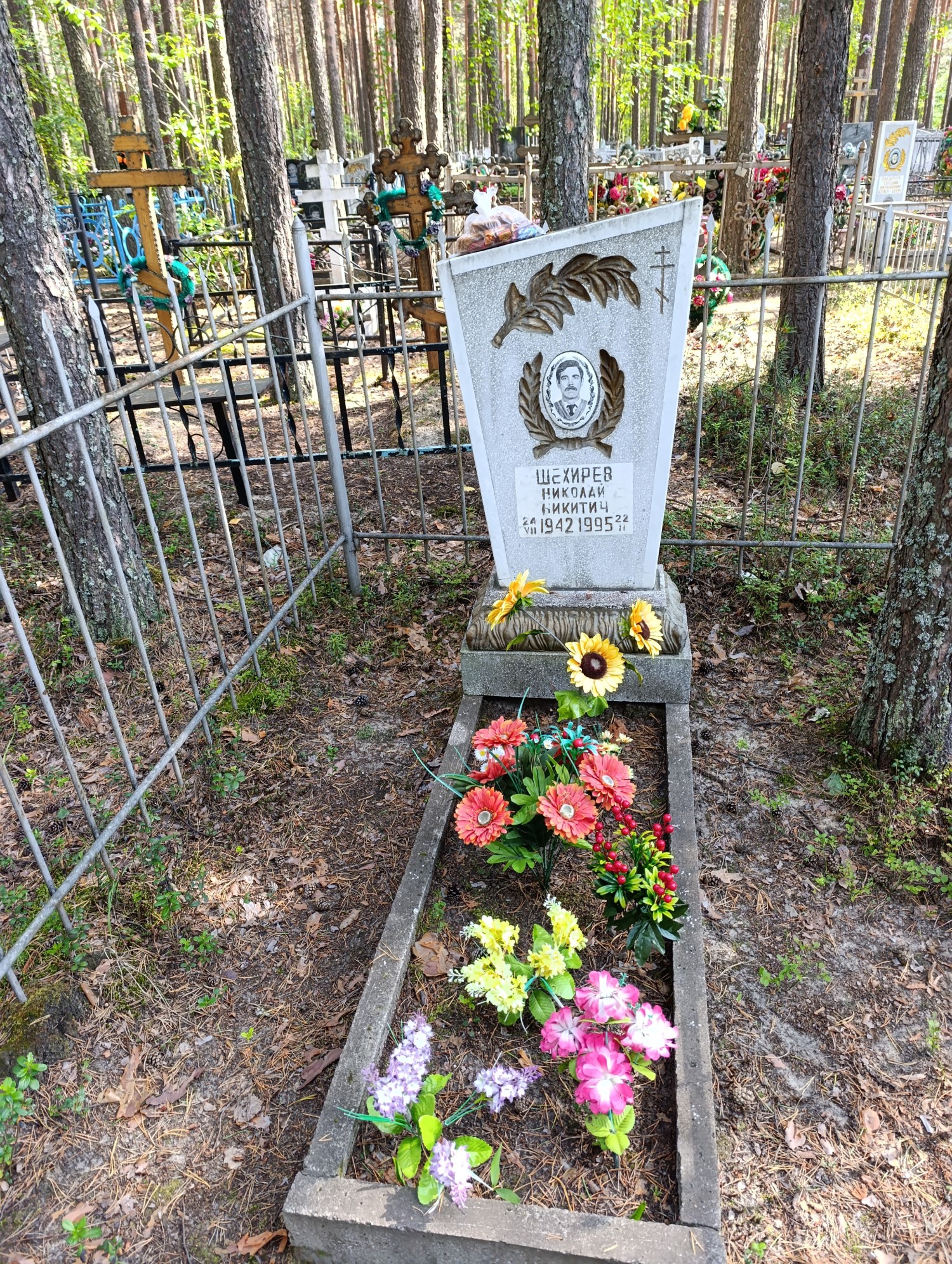 Шехирев Николай Никитич