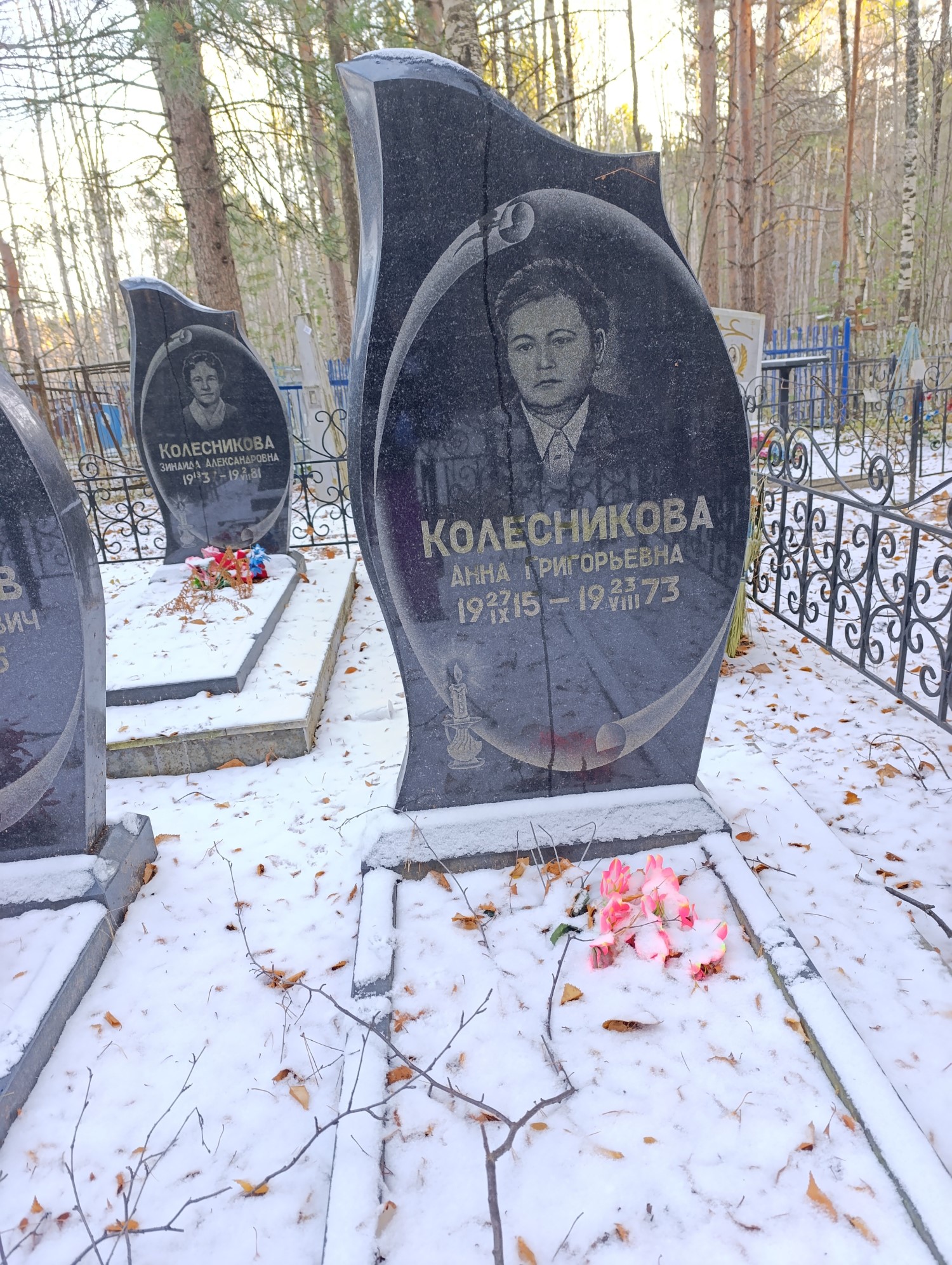 Колесникова Анна Григорьевна
