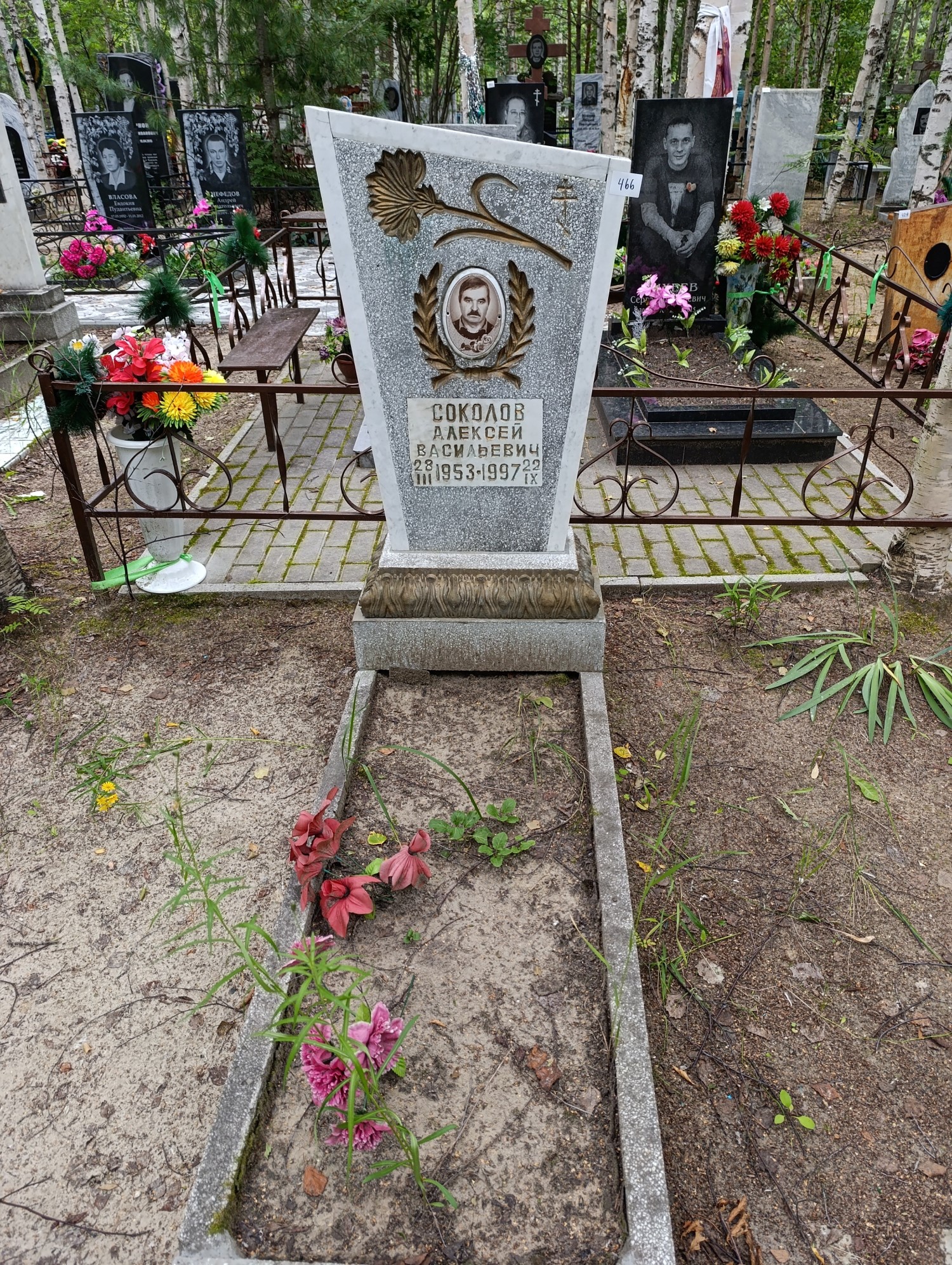 Соколов Алексей Васильевич