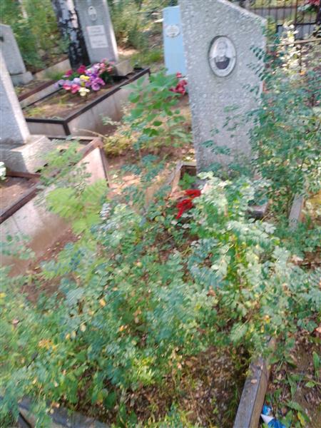 Возовикова Анастасия Спиридонова