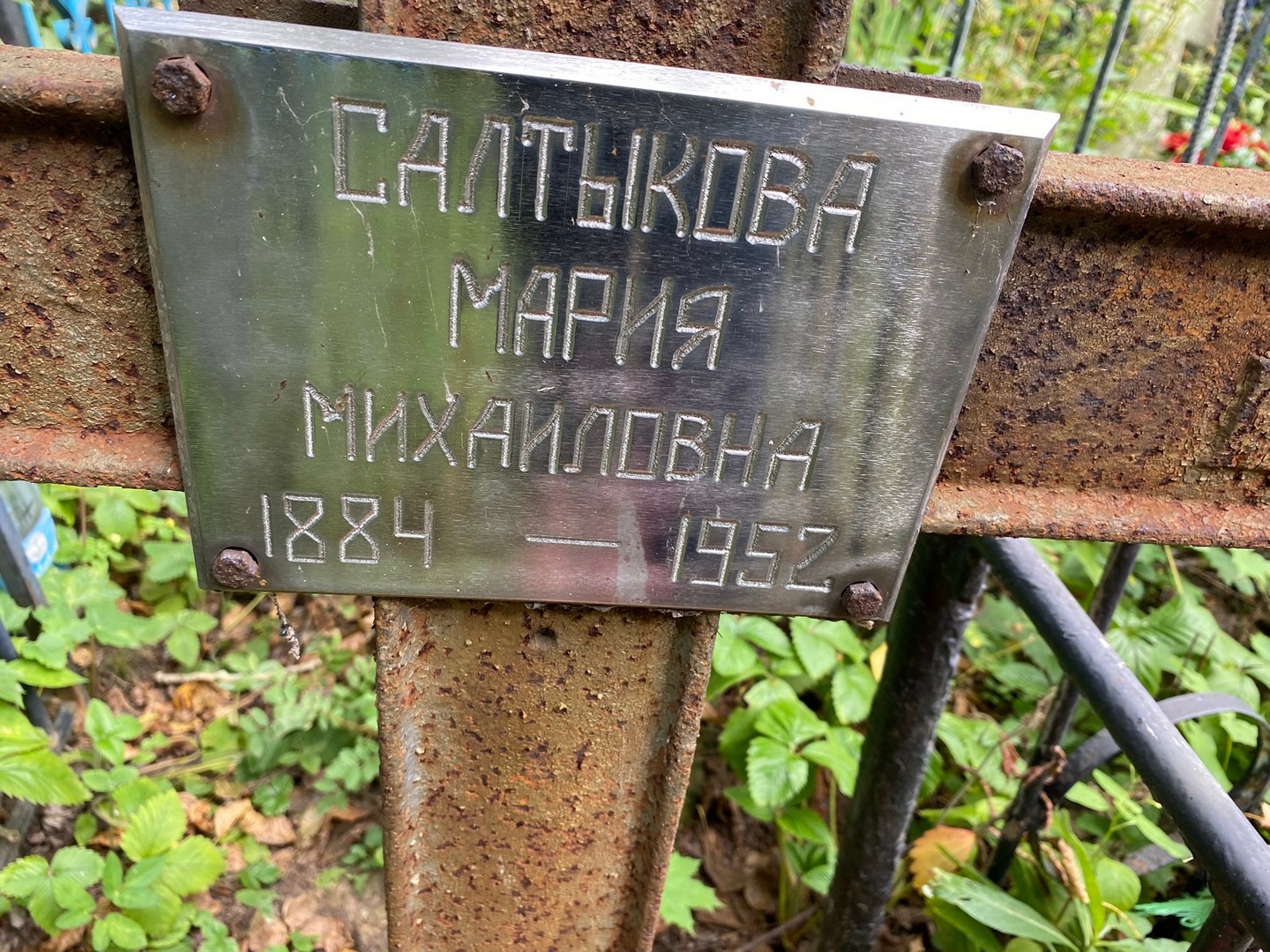 Салтыкова
