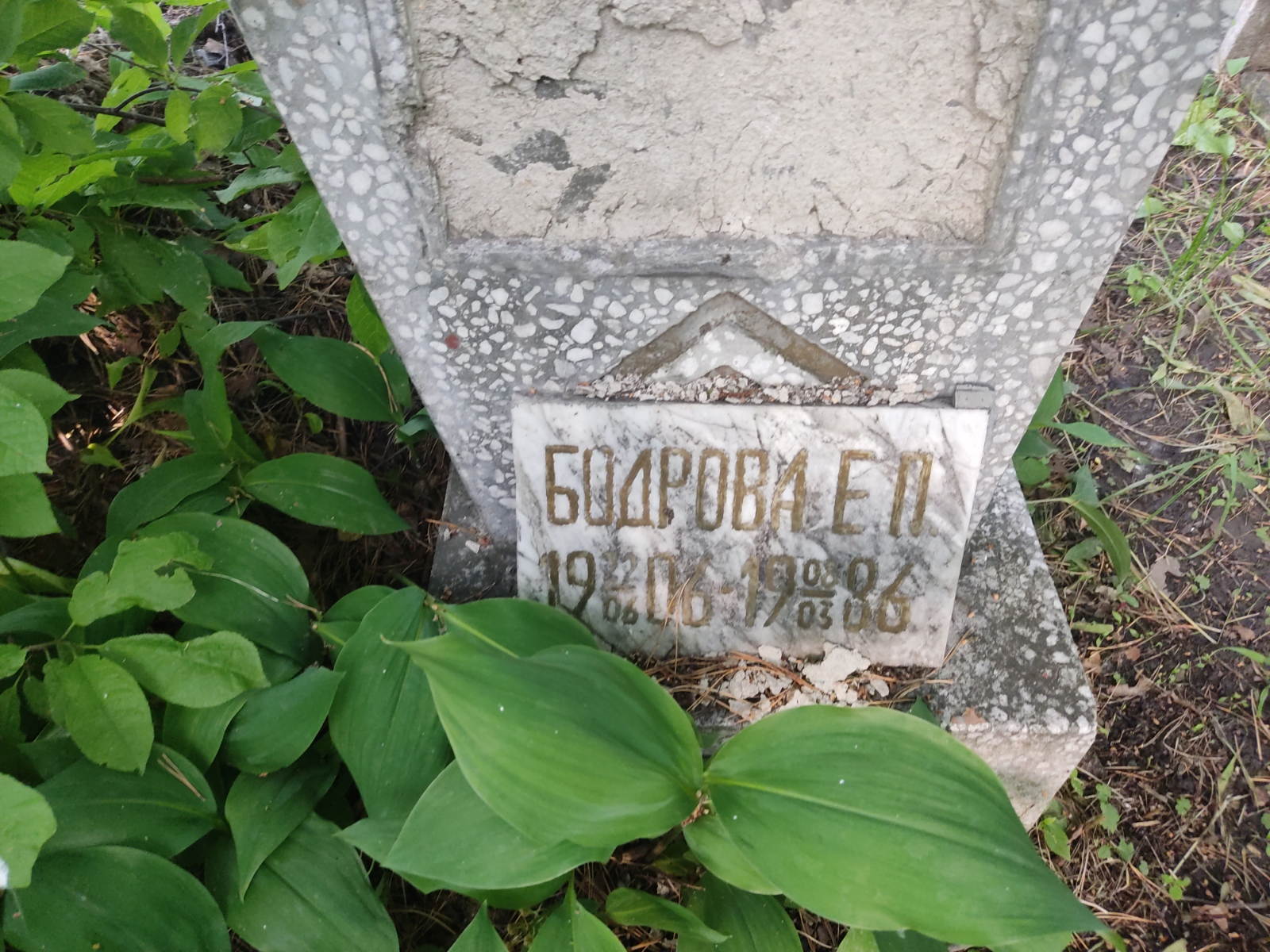Бодрова Е. П.