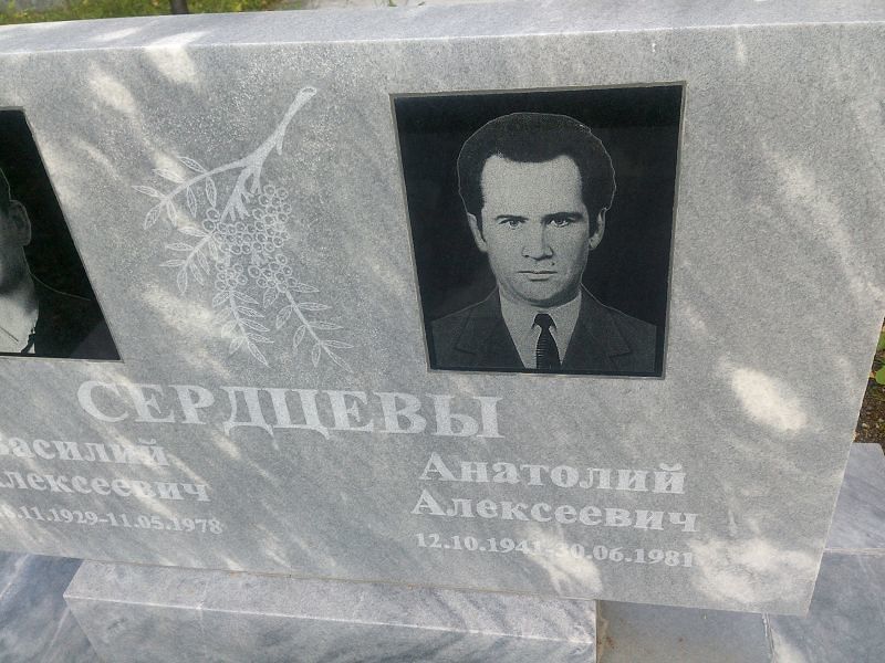 Сердцев
