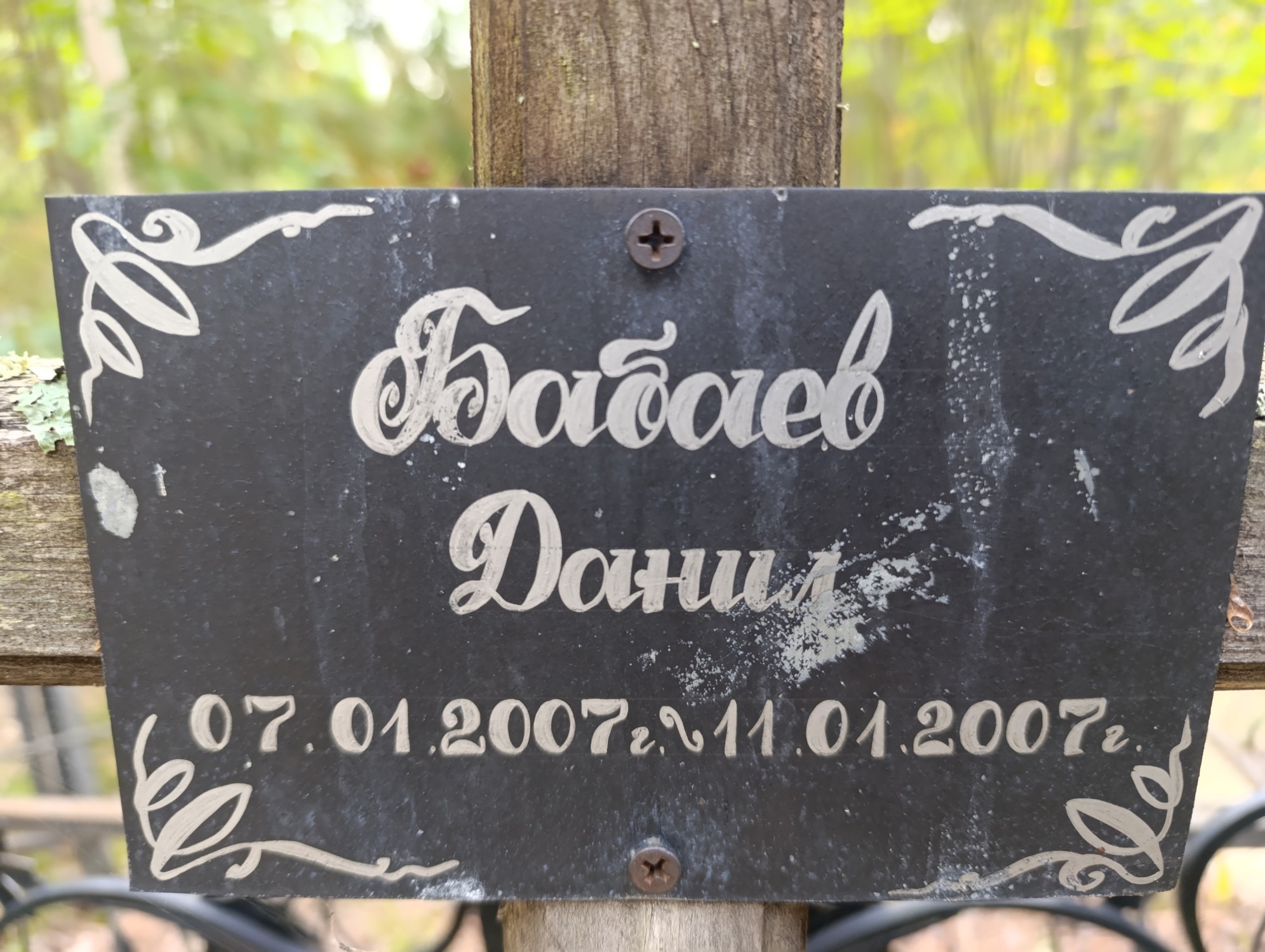 Бабаев Данил