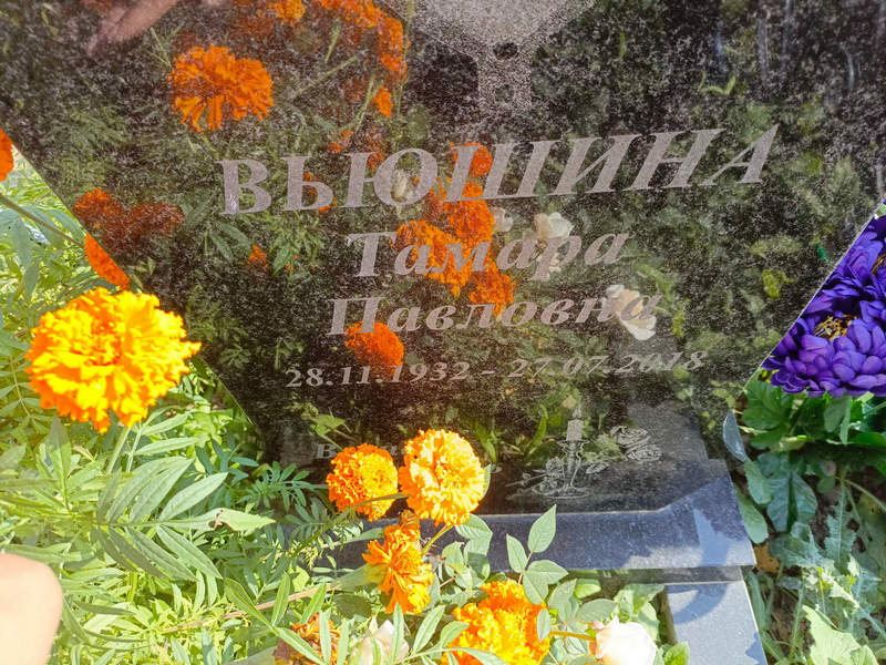 Вьюшина
