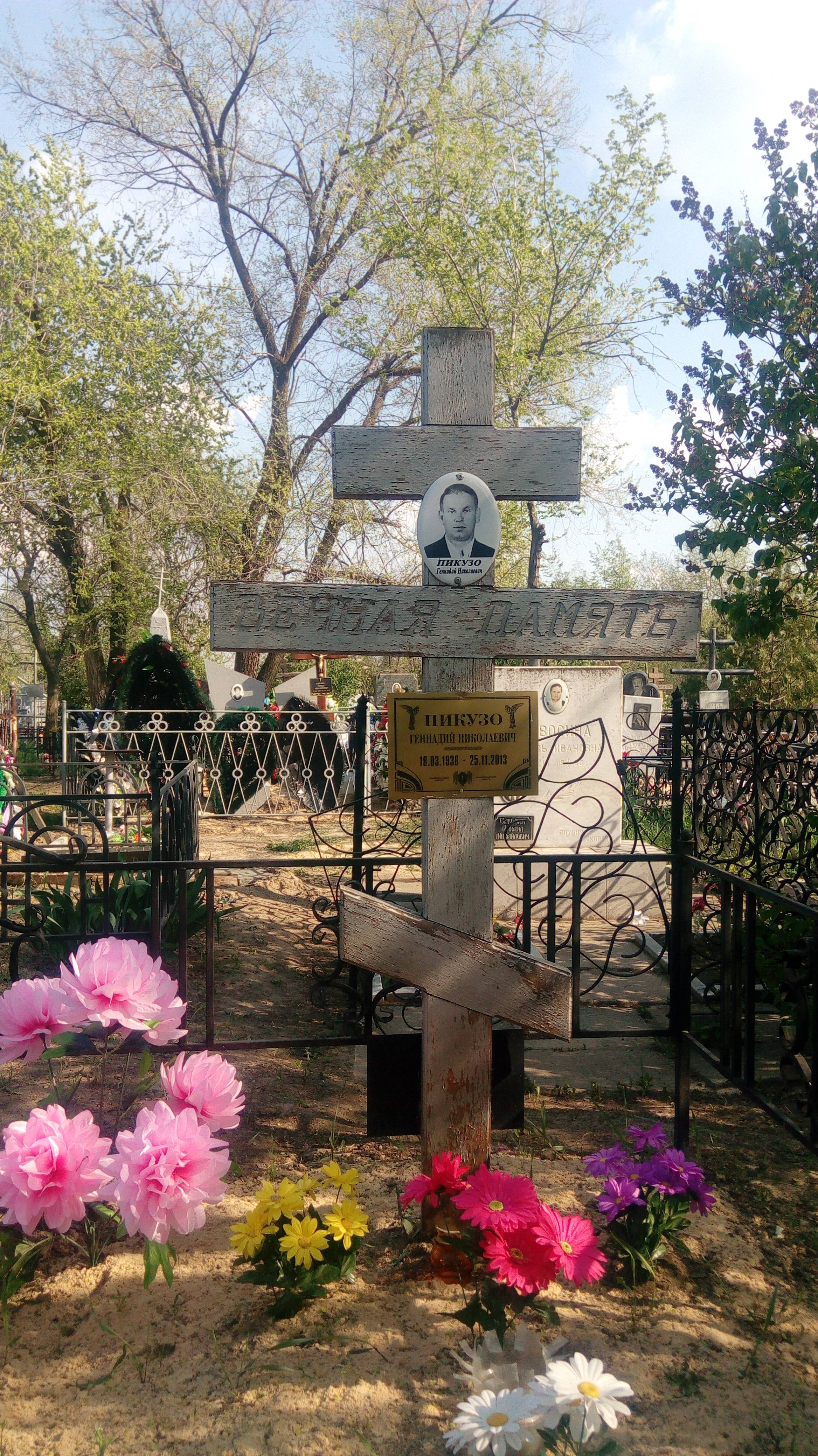 Пикузо Геннадий Николаевич