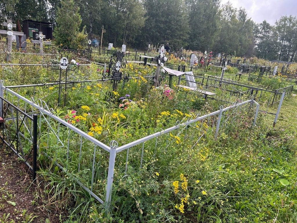 Дворцова Екатерина Николаевна
