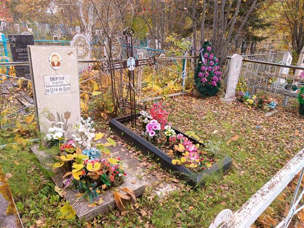 Верзя Андрей Александрович