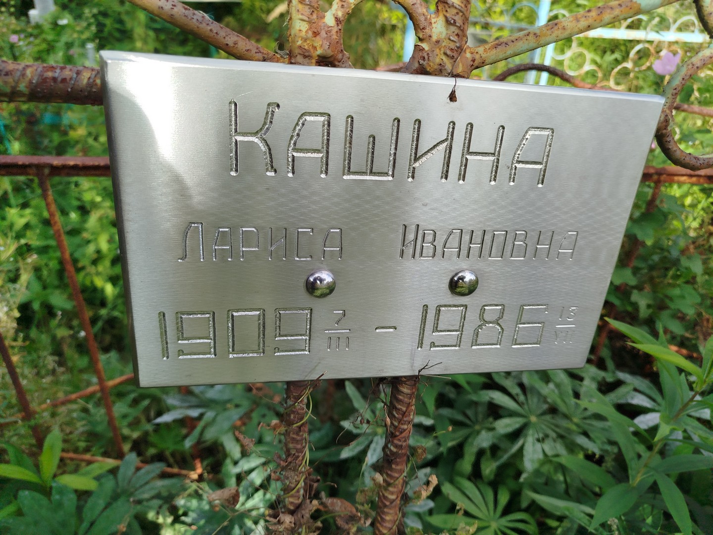 Кашина