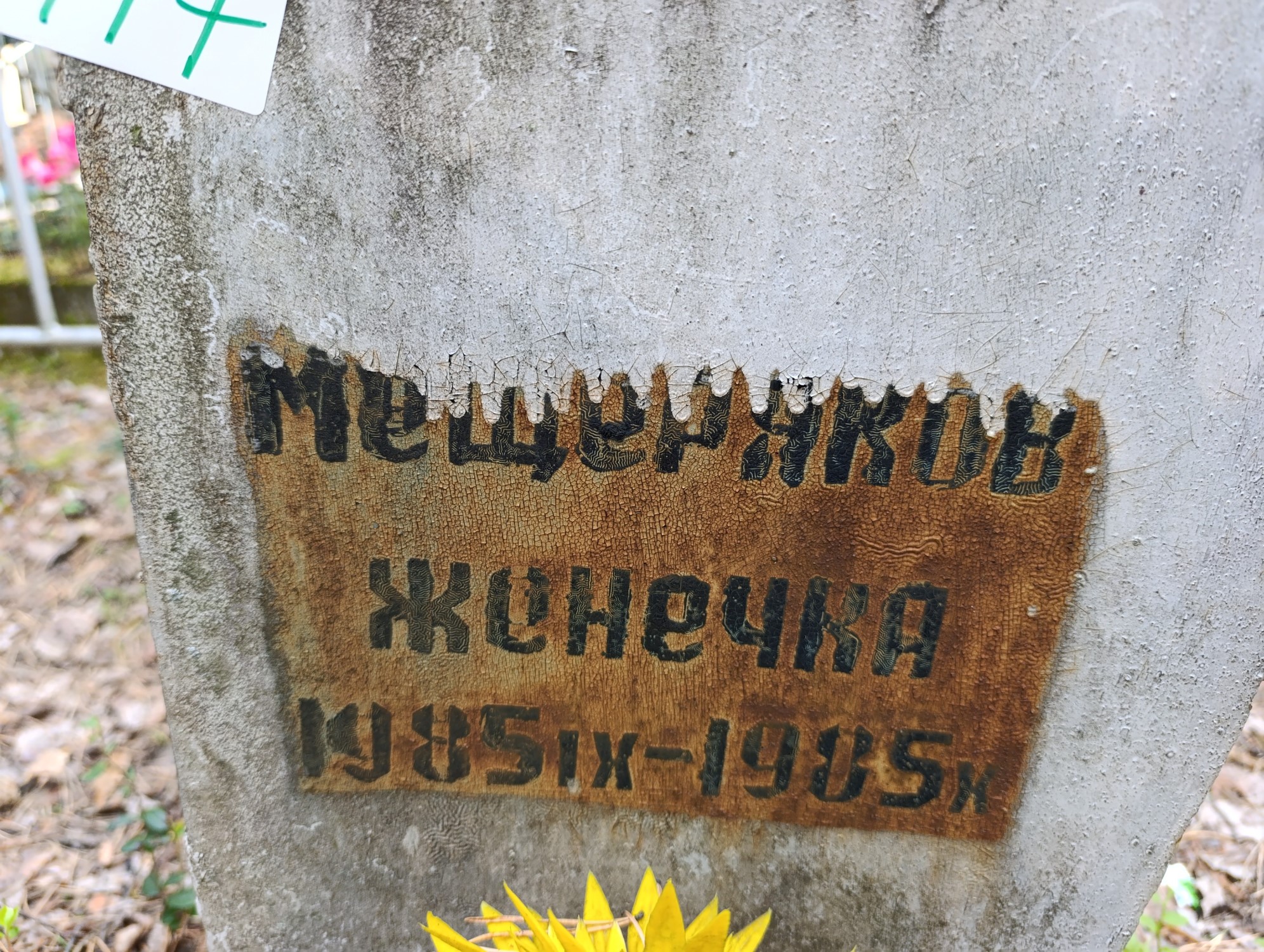 Мещеряков Евгений