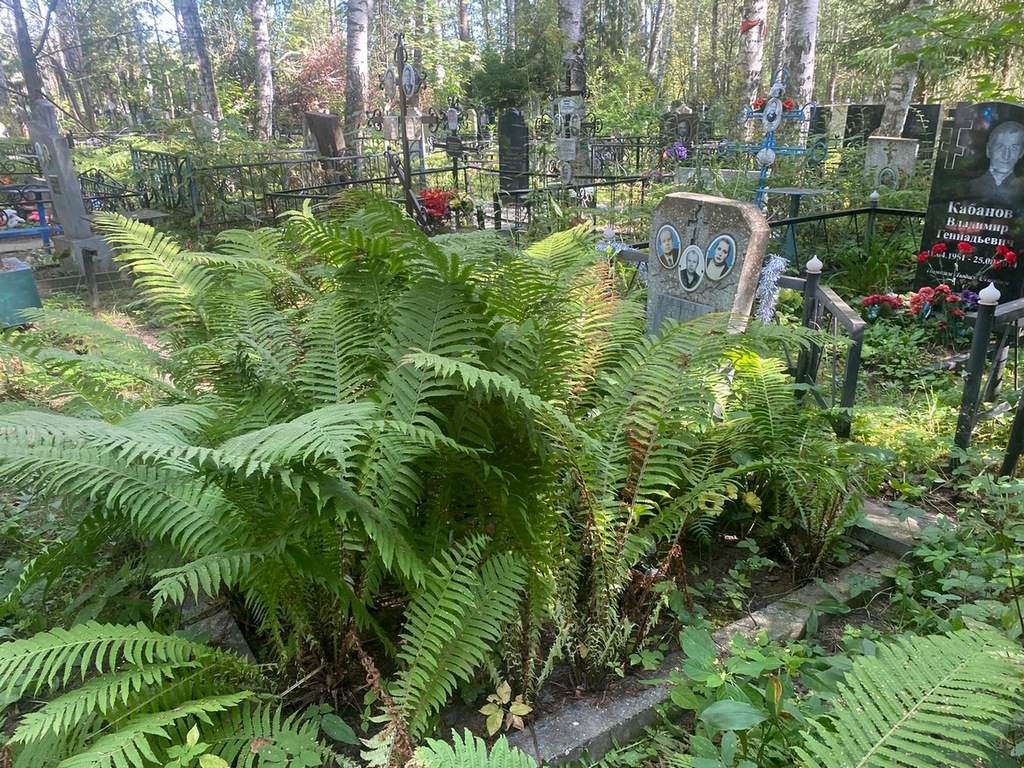 Фролова Вера Григорьевна